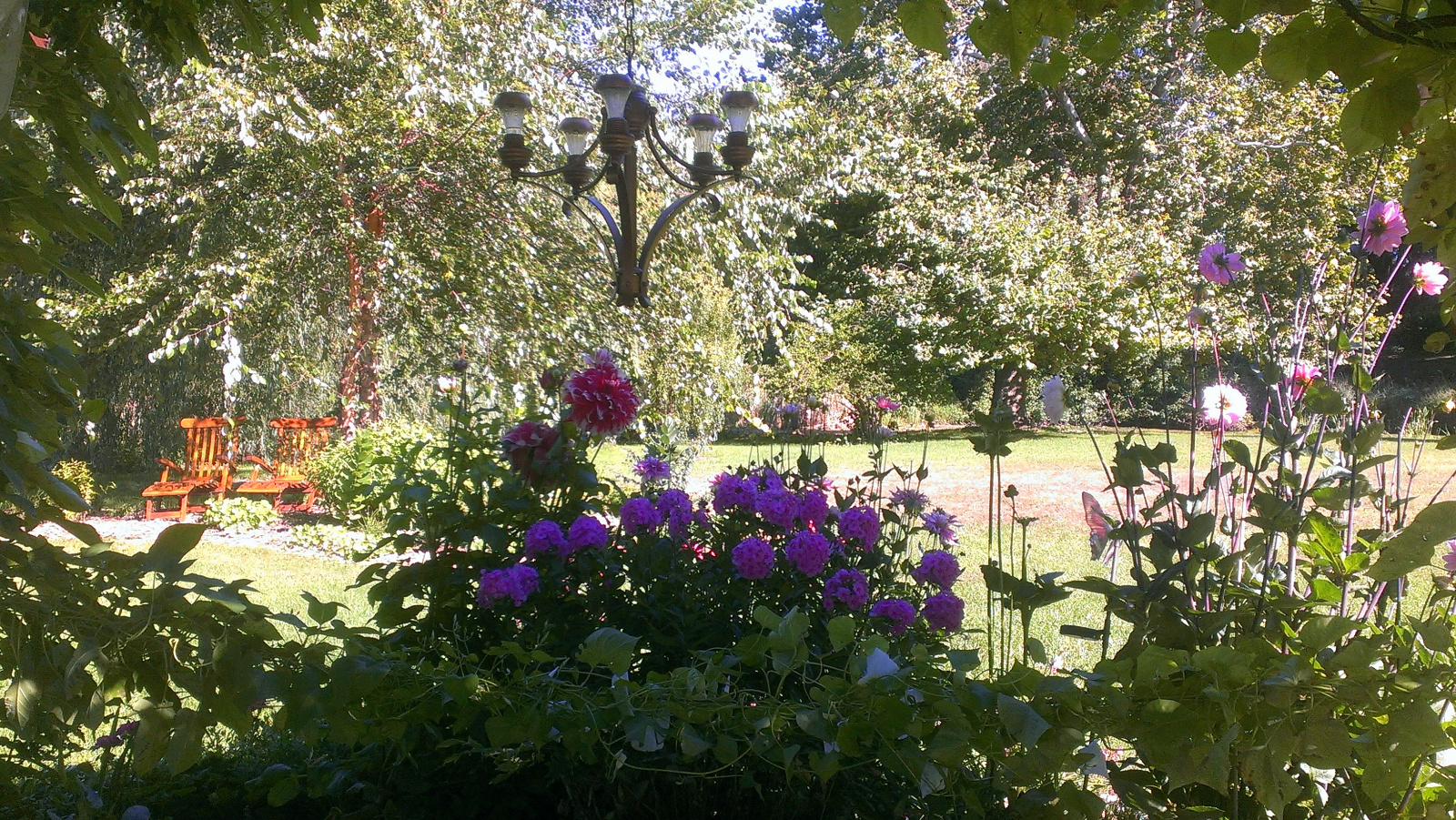 View from beneath the Flowering Gazebo looking out